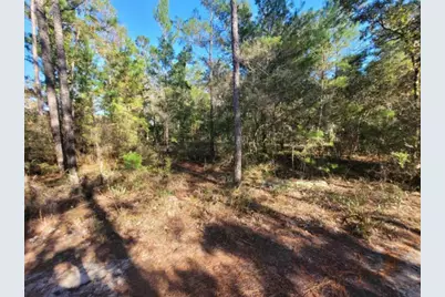 Lot 10 Blk 20 English Holly Lane, Defuniak Springs, FL 32433 - Photo 2