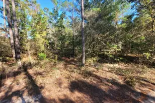 Lot 10 Blk 20 English Holly Ln, Defuniak Springs, FL 32433 - Photo 2