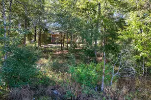 446 Mango Ln, Freeport, FL 32439 - Photo 56