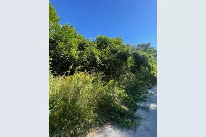 986 Harris Avenue, Panama City, FL 32401 - Photo 2