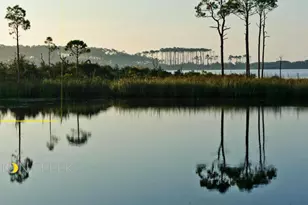 Lot 8 Wilderness Way, Santa Rosa Beach, FL 32459 - Photo 1