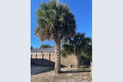 233 Flounder Street, Santa Rosa Beach, FL 32459 - Photo 8