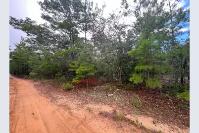 Lot 2 Round Table Road, Defuniak Springs, FL 32433 - Photo 2