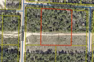 Lot 2 Round Table Rd, Defuniak Springs, FL 32433 - Photo 1