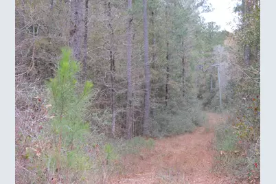10 Acres Co Highway 183, Ponce de Leon, FL 32455 - Photo 4