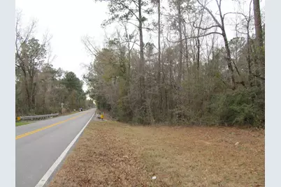 10 Acres Co Highway 183, Ponce de Leon, FL 32455 - Photo 6