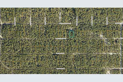 Lot 44 W Black Cherry Drive, Defuniak Springs, FL 32433 - Photo 6