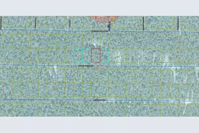Lot 44 W Black Cherry Drive, Defuniak Springs, FL 32433 - Photo 2