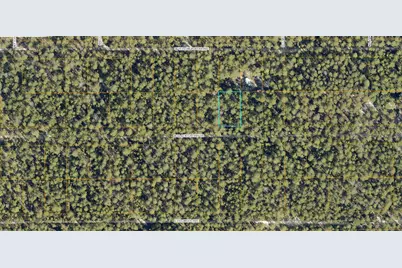 Lot 45 W Black Cherry Drive, Defuniak Springs, FL 32433 - Photo 2