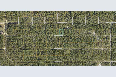 Lot 46 W Black Cherry Drive, Defuniak Springs, FL 32433 - Photo 6