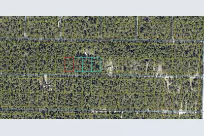 Lot 46 W Black Cherry Drive, Defuniak Springs, FL 32433 - Photo 1