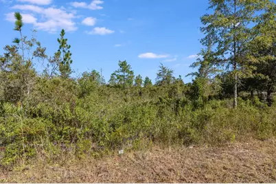 11709 Poinsettia Street, Fountain, FL 32438 - Photo 8
