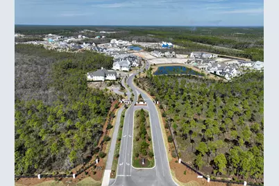Lot 234 Quail Hollow Court, Inlet Beach, FL 32461 - Photo 16