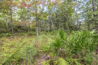 Lot 77 Harbour Trace, Freeport, FL 32439 - Photo 4