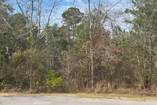 Lot 76 Harbour Trace, Freeport, FL 32439 - Photo 4