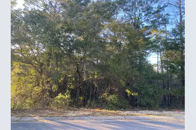 Tbd Ruckel Drive, Niceville, FL 32578 - Photo 4