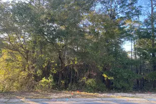 Tbd Ruckel Dr, Niceville, FL 32578 - Photo 4