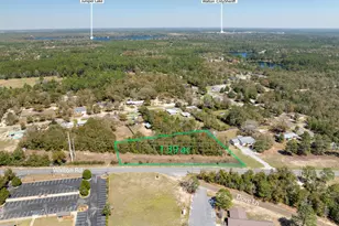 1 385 Acres On Walton Rd, Defuniak Springs, FL 32433 - Photo 8