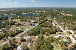 1 385 Acres On Walton Rd, Defuniak Springs, FL 32433 - Photo 10