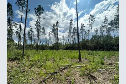 Parcel A Yellow River Baptist Church Road #22 AC+/-, Baker, FL 32531 - Photo 2