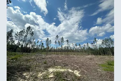 Parcel A Yellow River Baptist Church Road #22 AC+/-, Baker, FL 32531 - Photo 4