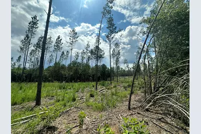 Parcel C Yellow River Baptist Church Road, Baker, FL 32531 - Photo 2