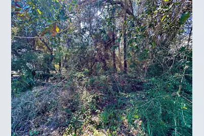 Lot 1 Wynnehaven Beach Road, Mary Esther, FL 32569 - Photo 10