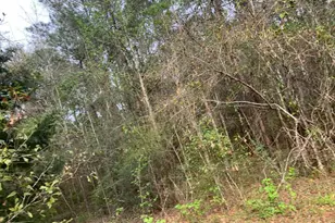 Xxx Works Rd, Caryville, FL 32427 - Photo 6