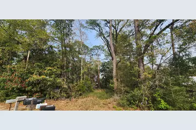 0000 Country Club Drive, Bonifay, FL 32425 - Photo 8