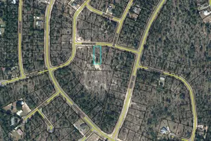Lot 9 Swanson St, Chipley, FL 32428 - Photo 1