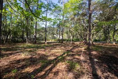 Lot 23 B Bayside Drive, Freeport, FL 32439 - Photo 4