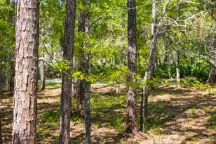 Lot 23 B Bayside Dr, Freeport, FL 32439 - Photo 18