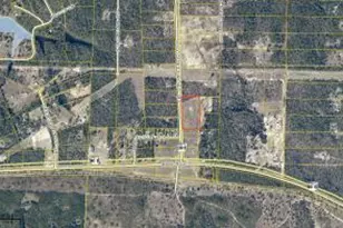 0 Hwy 393, Crestview, FL 32539 - Photo 1