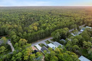 1239 E Point Washington Rd, Santa Rosa Beach, FL 32459 - Photo 64