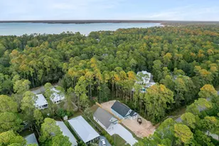 1239 E Point Washington Rd, Santa Rosa Beach, FL 32459 - Photo 60