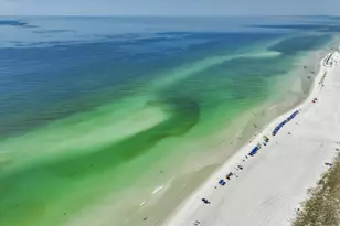 9011 W US Hwy 98, Miramar Beach, FL 32550 - Photo 24