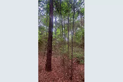 6.12 Ac Clary Road, Laurel Hill, FL 32567 - Photo 4