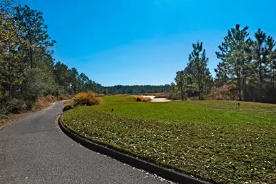 155 E Club House Drive, Freeport, FL 32439 - Photo 28