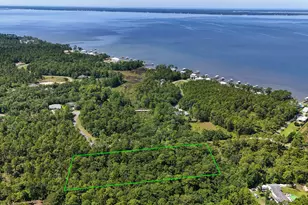 4 66 Acres Watson Rd, Freeport, FL 32439 - Photo 1
