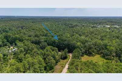 4.66 Acres Watson Road, Freeport, FL 32439 - Photo 8