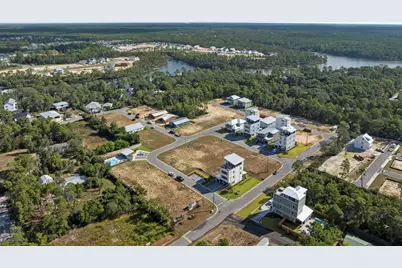 Tbd Asher Street #Lot 44, Inlet Beach, FL 32461 - Photo 46