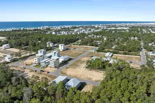 Tbd Asher St, Inlet Beach, FL 32461 - Photo 48