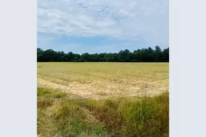 18 Acres Hwy 231, Cottondale, FL 32431 - Photo 4