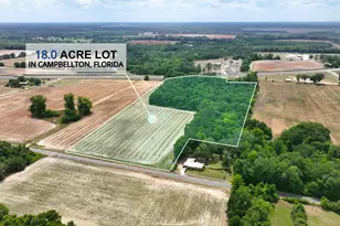 18 Acres Hwy 231, Cottondale, FL 32431 - Photo 1