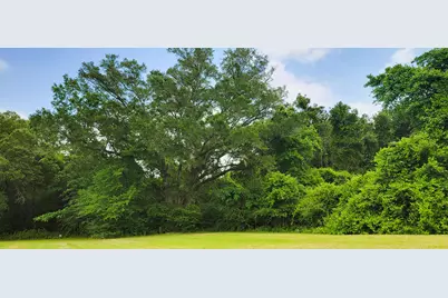 14.4 Acres Hwy 231, Cottondale, FL 32431 - Photo 4