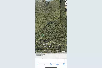 258 Foxglove Run, Niceville, FL 32578 - Photo 2
