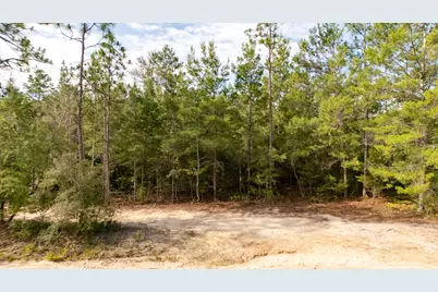Lots 7-10 Tarpon Lane, Defuniak Springs, FL 32433 - Photo 4