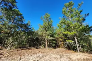1 2 Acres On Kelly St, Defuniak Springs, FL 32433 - Photo 8