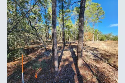 1.2 Acres On Kelly Street, Defuniak Springs, FL 32433 - Photo 6