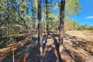 1 2 Acres On Kelly St, Defuniak Springs, FL 32433 - Photo 6